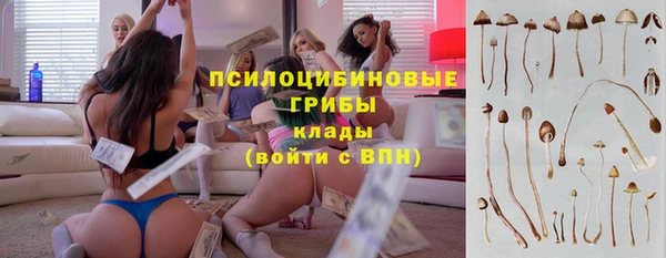 альфа пвп Вяземский