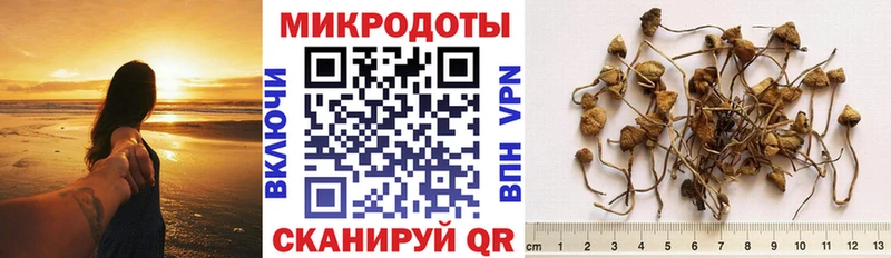 Псилоцибиновые грибы MAGIC MUSHROOMS  как найти наркотики  Арск 